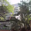 Odyssey IT park